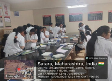 DEMO AND PERFORMANCE ASSESSMENT OF HB ESTIMATION